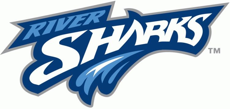 Combination Mark Logo logo 1 — Sports