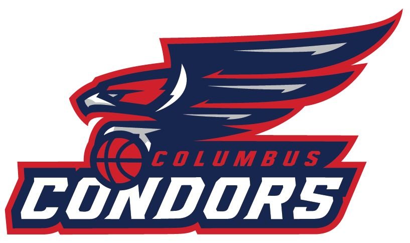 Combination Mark Logo logo 4 — Sports