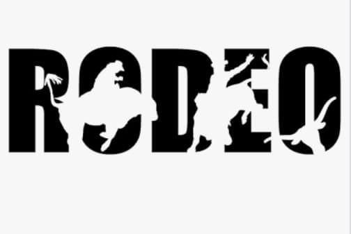 Combination Mark Logo logo 8 — Sports